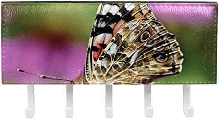 Природата Пеперутка Ѕид Кука Ѕид Оркестарот Организатор Кошница Mail Складирање Кутија - за Entryway/Кујна/Канцеларија
