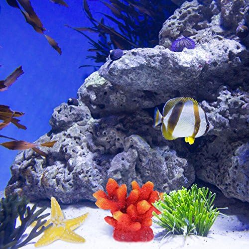 UEETEK 4 Пакет Вештачки Корални Растенијата Seastar Школка Оркестарот Аквариум Гребен Украс Смола Занаети Декорација за Риба Резервоарот